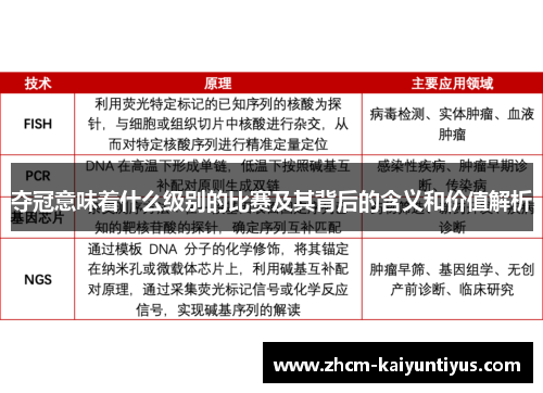 夺冠意味着什么级别的比赛及其背后的含义和价值解析