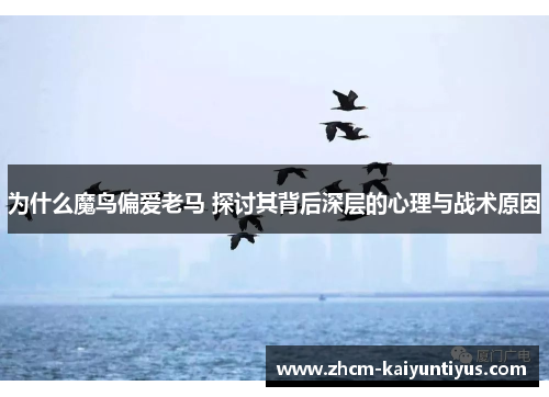 为什么魔鸟偏爱老马 探讨其背后深层的心理与战术原因