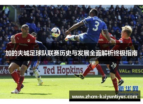 加的夫城足球队联赛历史与发展全面解析终极指南 加的夫城足球队联赛历史与发展全面解析终极指南