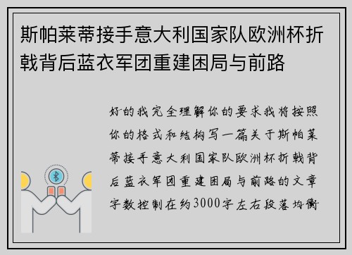 斯帕莱蒂接手意大利国家队欧洲杯折戟背后蓝衣军团重建困局与前路